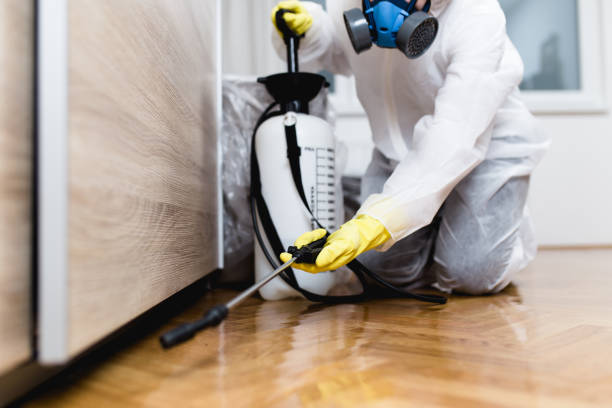 Best Insect Control  in Liberty Hill, TX