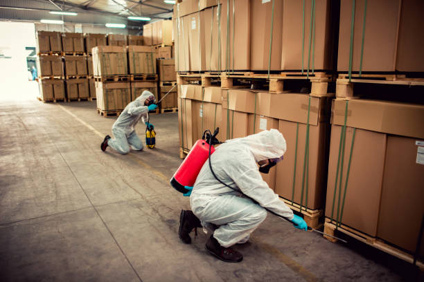 Best Bed Bug Extermination  in Liberty Hill, TX