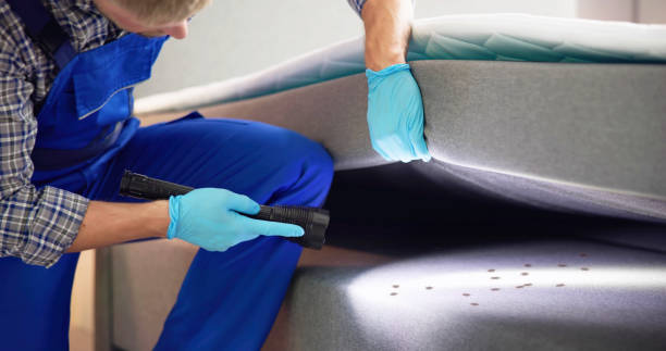 Best Bed Bug Extermination  in Liberty Hill, TX