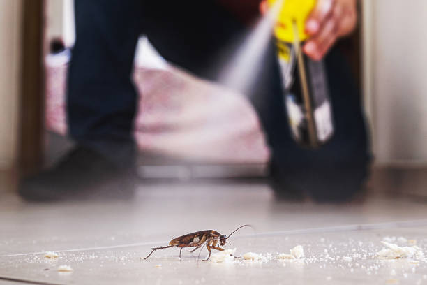 Best Pest Prevention Services  in Liberty Hill, TX
